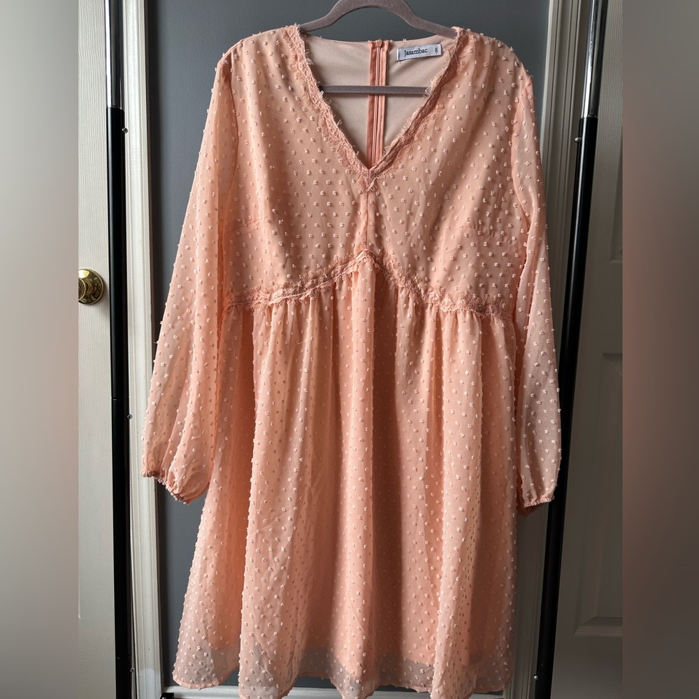 JASAMBAC Women's Swiss Dot Dress 2X Pink